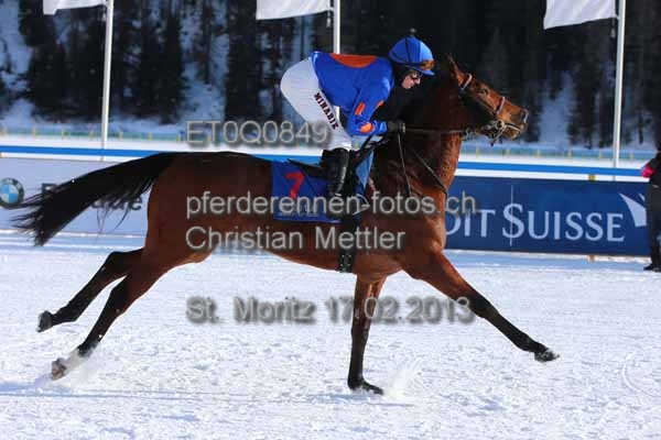 ET0Q0849 prot